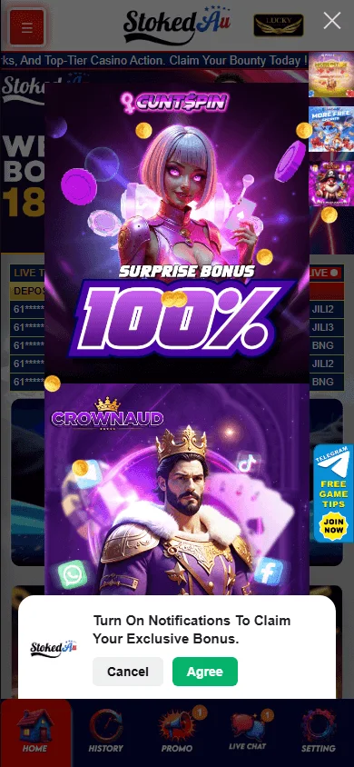 STOKEDAU Casino mobile app for playing casino games on a phone